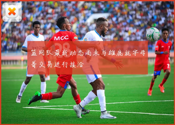 篮网队最新动态尚未与雄鹿就字母哥交易进行接洽
