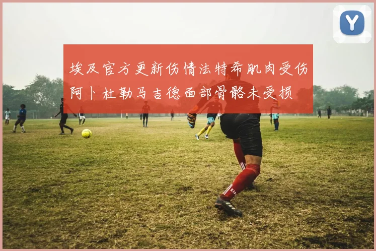 埃及官方更新伤情法特希肌肉受伤阿卜杜勒马吉德面部骨骼未受损