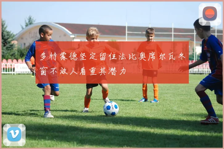 多特蒙德坚定留住法比奥席尔瓦冬窗不放人看重其潜力