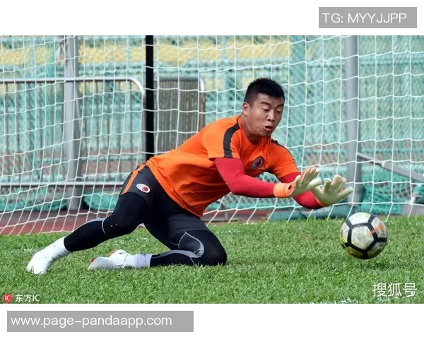 国安结束肇庆三日集训今日启程前往中国香港备战新赛季 国安结束肇庆三日集训今日启程前往中国香港备战新赛季