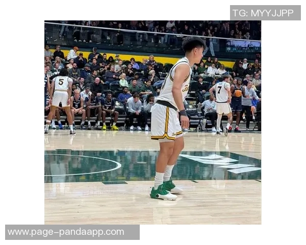 NCAA赛场旧金山大学战胜波特兰州立王俊杰贡献5分4板赵维伦再度缺阵