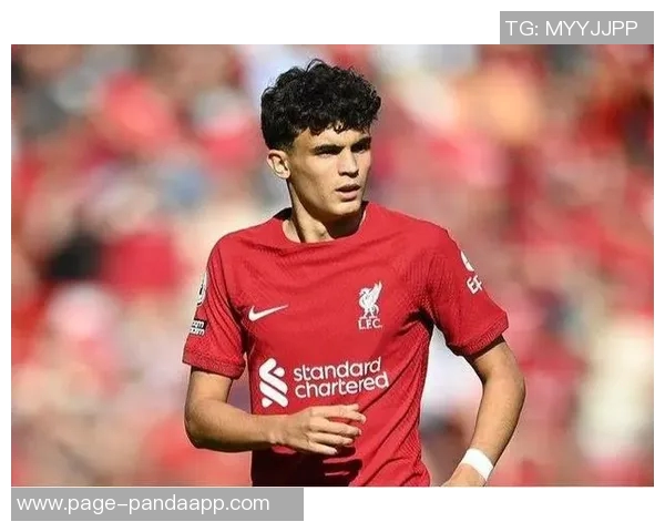 利物浦对巴伊切蒂奇采取谨慎态度计划先让他在U21队伍中适应比赛 利物浦对巴伊切蒂奇采取谨慎态度计划先让他在U21队伍中适应比赛