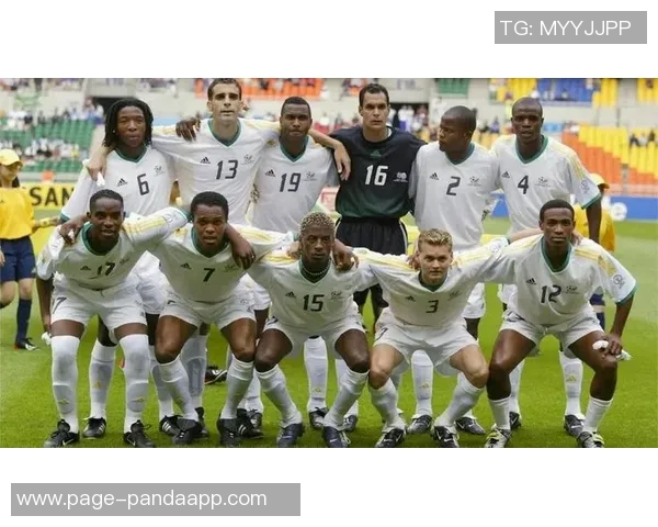 世界杯参赛队伍已定28支亚非直通名额全部确认