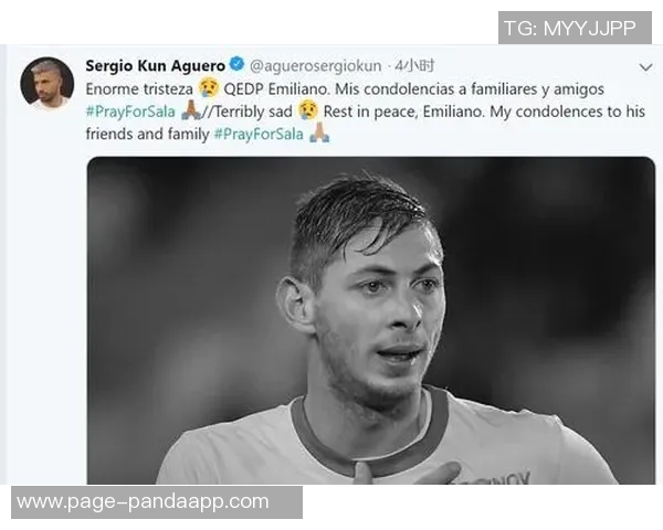 卡迪夫城就萨拉坠机事件向南特索赔12亿欧元提起诉讼